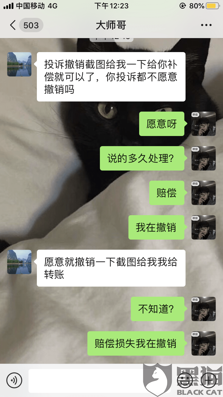 黑貓投訴：拼多多食品添加劑問題