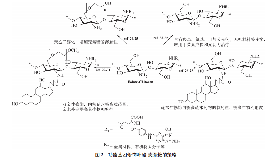 葉酸修飾殼聚糖在腫瘤靶向制劑中的研究進(jìn)展（二）