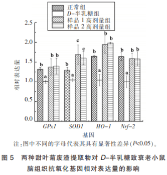 兩種甜葉菊廢渣提取物對D-半乳糖致衰老小鼠的抗氧化作用（三）