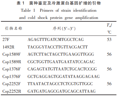 水產(chǎn)品腐敗希瓦氏菌冷激蛋白的結(jié)構(gòu)與功能分析（一）