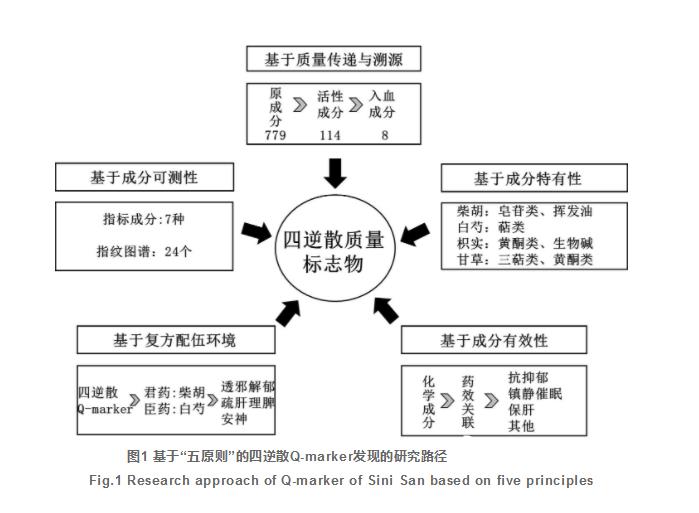 四逆散研究進(jìn)展及質(zhì)量標(biāo)志物的預(yù)測分析（二）