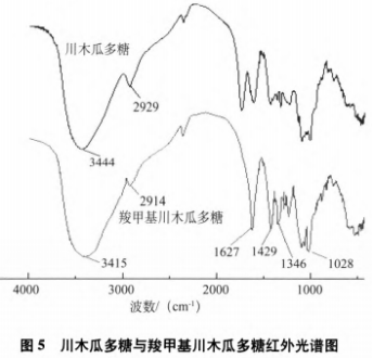 羧甲基川木瓜多糖的制備及對α-葡萄糖苷酶的抑制作用(二）