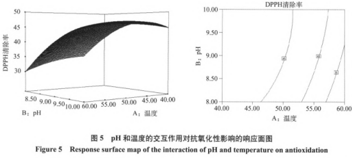 響應面法優(yōu)化綠豆抗氧化肽的制備工藝（三）