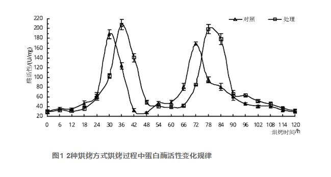 “兩燉一停”烘烤工藝烤煙蛋白酶活性及蛋白質(zhì)含量的動態(tài)變化（一）