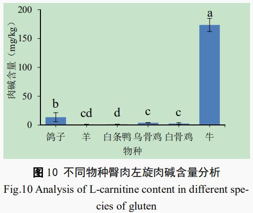 酶法測定林芝市售不同動物肌肉左旋肉堿含量（二）