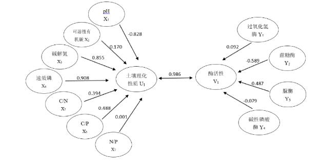 蘭州百合連作土壤碳氮磷化學(xué)計量特征及酶活性研究（二）