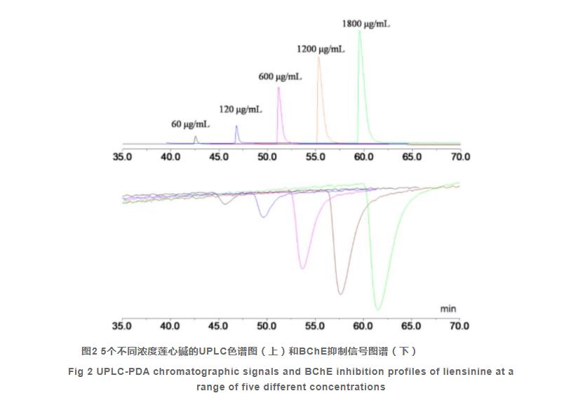 運(yùn)用超高效液相色譜-生物化學(xué)檢測在線聯(lián)用分析方法篩選中藥中的丁酰膽堿酯酶抑制劑（二）