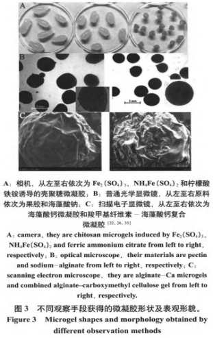 食品微凝膠的制備、表征與應(yīng)用（二）