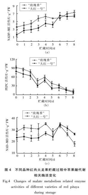 紅肉火龍果采后品質劣變及蘋果酸代謝研究（二）