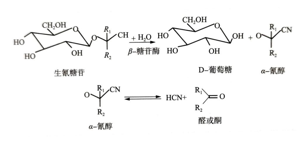 酒中氰化物的測定標(biāo)準(zhǔn)操作程序之靜態(tài)頂空——氣相色譜法（一）