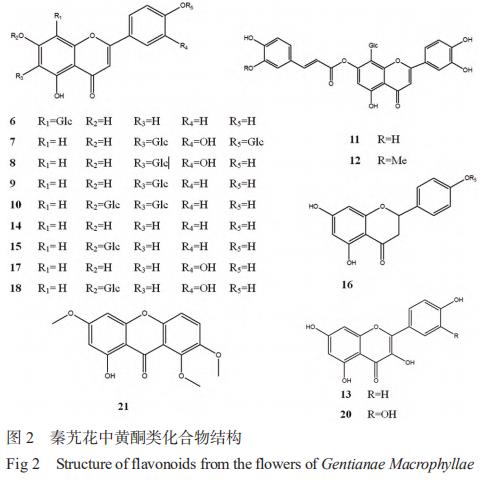 秦艽花化學(xué)成分、藥理作用及其臨床應(yīng)用的研究進(jìn)展 （一）