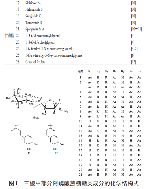 紅外光譜結(jié)合化學(xué)計量學(xué)快速鑒別不同環(huán)境發(fā)汗丹參（一）