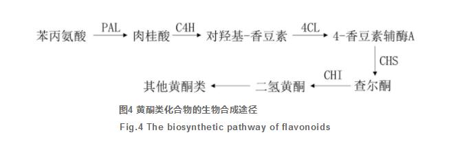 四逆散研究進(jìn)展及質(zhì)量標(biāo)志物的預(yù)測分析（三）