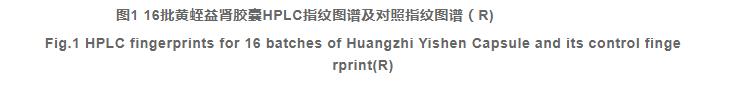 基于HPLC指紋圖譜結(jié)合化學(xué)模式識(shí)別的黃蛭益腎膠囊質(zhì)量控制（二）