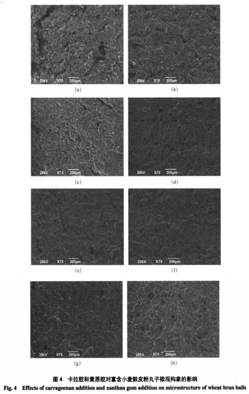 卡拉膠與黃原膠復(fù)配對(duì)小麥麩皮粉丸子品質(zhì)的影響（二）
