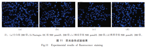 柚皮苷二氫查爾酮的抗氧化活性研究（三）