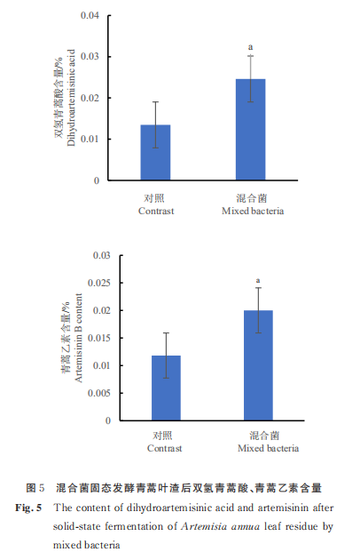 11 類菌種固態(tài)發(fā)酵對(duì)青蒿葉渣功效成分的影響（二）