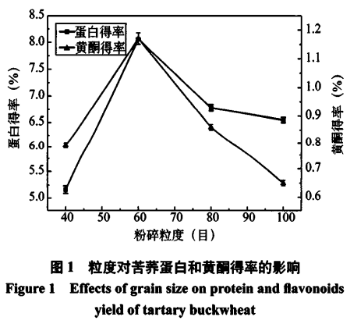 超聲輔助苦蕎中蛋白和黃酮的同步提取工藝（一）