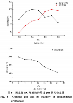 氨基甲酸乙酯降解酶的固定化研究（二）