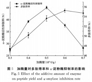 響應(yīng)面法酶解藜麥蛋白制備α-淀粉酶抑制肽的工藝研究（二）