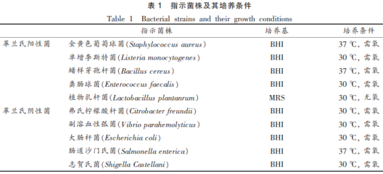 牡蠣中產(chǎn)廣譜細(xì)菌素芽孢桿菌的篩選及鑒定（一）