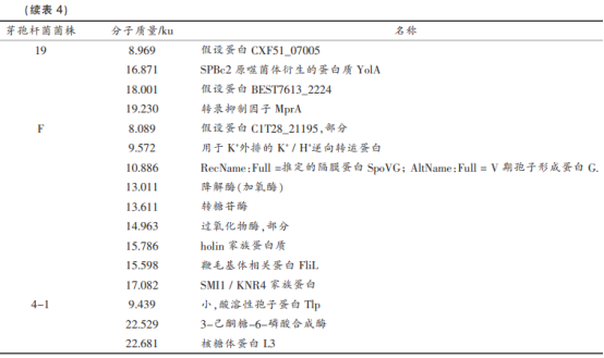 牡蠣中產(chǎn)廣譜細(xì)菌素芽孢桿菌的篩選及鑒定（三）