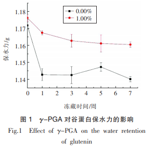 γ-聚谷氨酸對凍藏谷蛋白水合及結(jié)構(gòu)的影響（一）