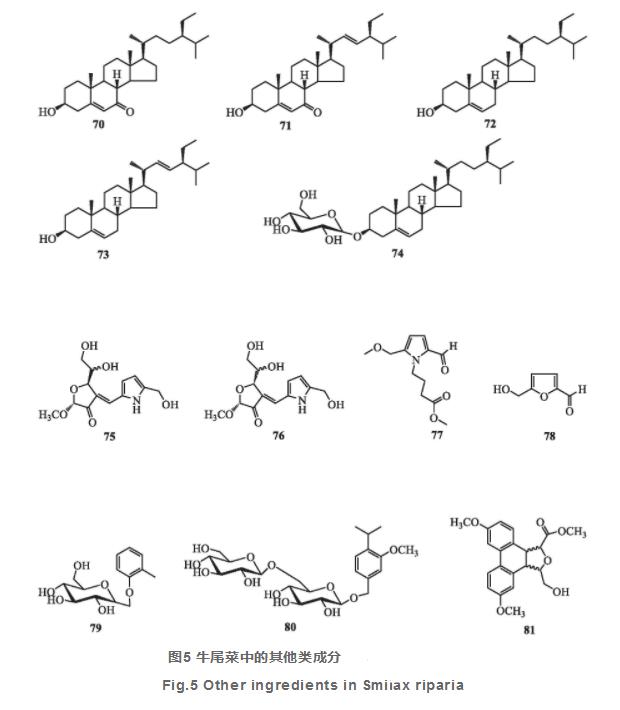 牛尾菜化學(xué)成分與藥理作用研究進展（一）