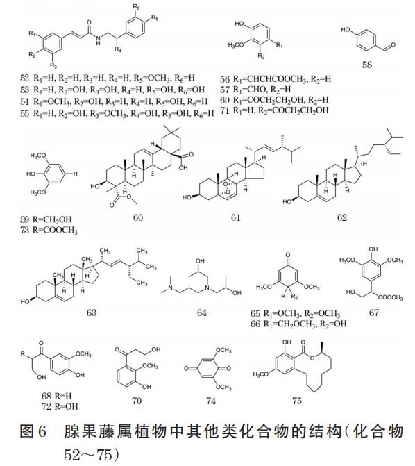 腺果藤屬植物的化學(xué)成分和藥理作用研究進(jìn)展（三）