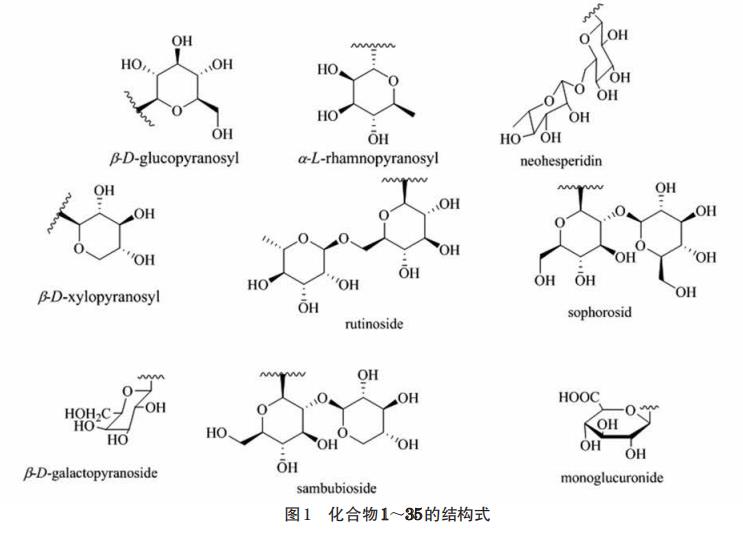 接骨木屬植物化學(xué)成分和藥理作用的研究進展（一）