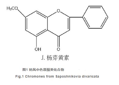 防風(fēng)的化學(xué)成分及藥理作用研究進(jìn)展（一）