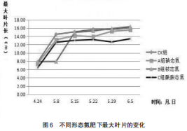 不同氮肥對番茄NO3-—N和NH4+-N含量的影響（二）