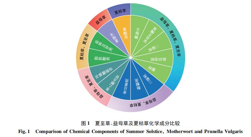 夏至草、益母草及夏枯草的化學(xué)成分及藥理作用研究進(jìn)展（一）