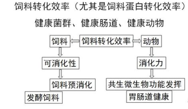 生物飼料及其替代和減少抗生素使用技術(shù)研究進展（一）