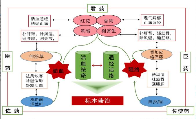 基于“五原則”結(jié)合蛛網(wǎng)模型辨析舒筋活血膠囊中的質(zhì)量標(biāo)志物（二）