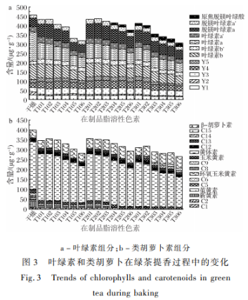 綠茶加工中主要脂溶性色素變化及其對(duì)茶葉色澤品質(zhì)的影響（二）