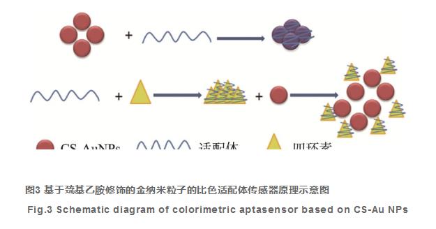 核酸適配體傳感器在四環(huán)素類抗生素檢測(cè)中的應(yīng)用（二）