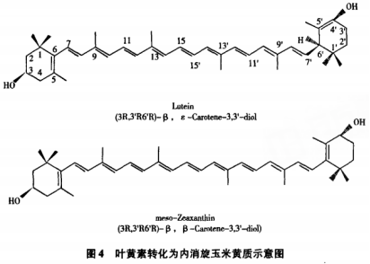 內(nèi)消旋玉米黃質(zhì)一種健康功能的重要類胡蘿卜素（二）