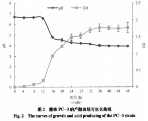 一株安徽本地泡菜中產(chǎn)細(xì)菌素乳酸菌的篩選與鑒定（二）