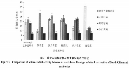 華北車前提取物的抑菌活性及其穩(wěn)定性研究（二）