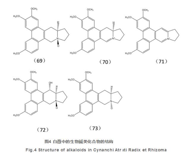 白薇化學(xué)成分及藥理作用研究進(jìn)展（二）