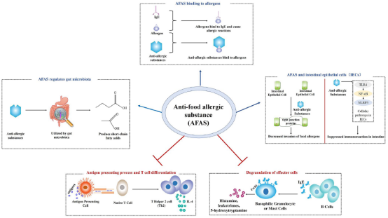 西北大學(xué)田陽博士在食品領(lǐng)域頂級期刊《Critical Reviews in Food Science and Nutrition》發(fā)表抗食物過敏綜述論文