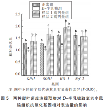 兩種甜葉菊廢渣提取物對(duì)D-半乳糖致衰老小鼠的抗氧化作用（三）