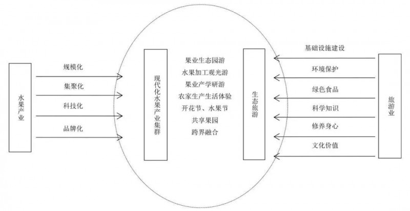 廣西熱帶水果產(chǎn)業(yè)與生態(tài)旅游業(yè)融合發(fā)展路徑研究