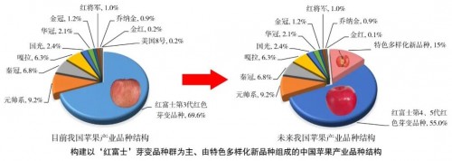 威海金蘋果優(yōu)質(zhì)高效栽培關(guān)鍵技術(shù)