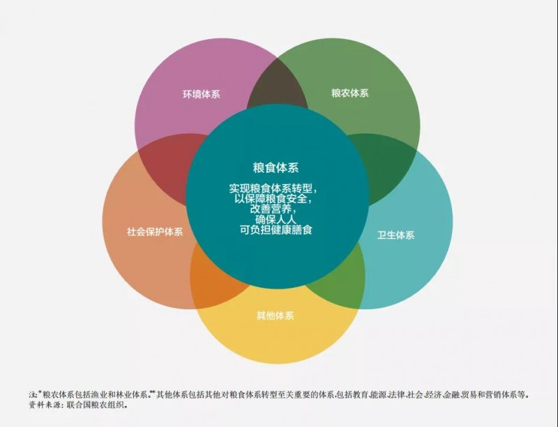 《2021年世界糧食安全和營養(yǎng)狀況》中文版全文發(fā)布：疫情肆虐，全球饑餓人數(shù)激增