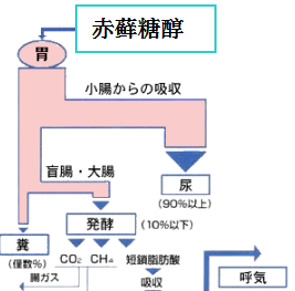 低聚木糖公司告訴你赤蘚糖醇的生理特性是什么