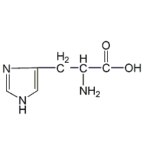 L-組氨酸