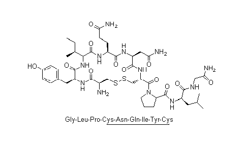 催產(chǎn)素