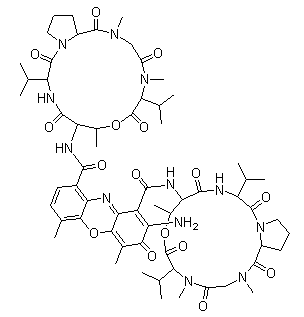 放線菌素D